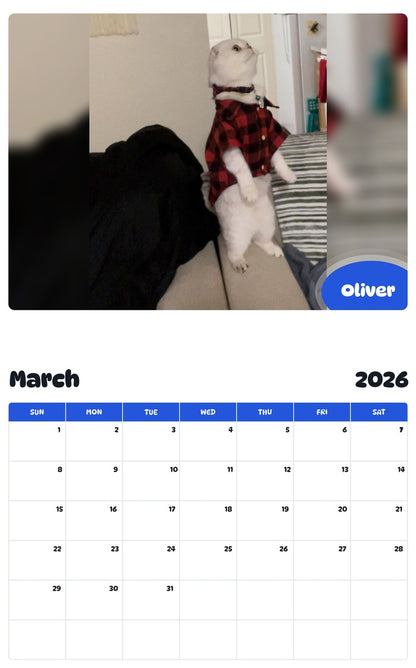 November 2025 - October 2026 Oliver - Pawidols Pet Calendar