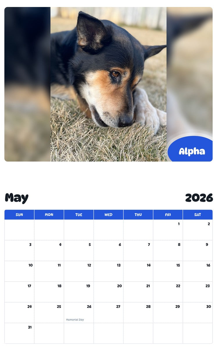 2026 - 2027 Alpha - Pawidols Pet Calendar