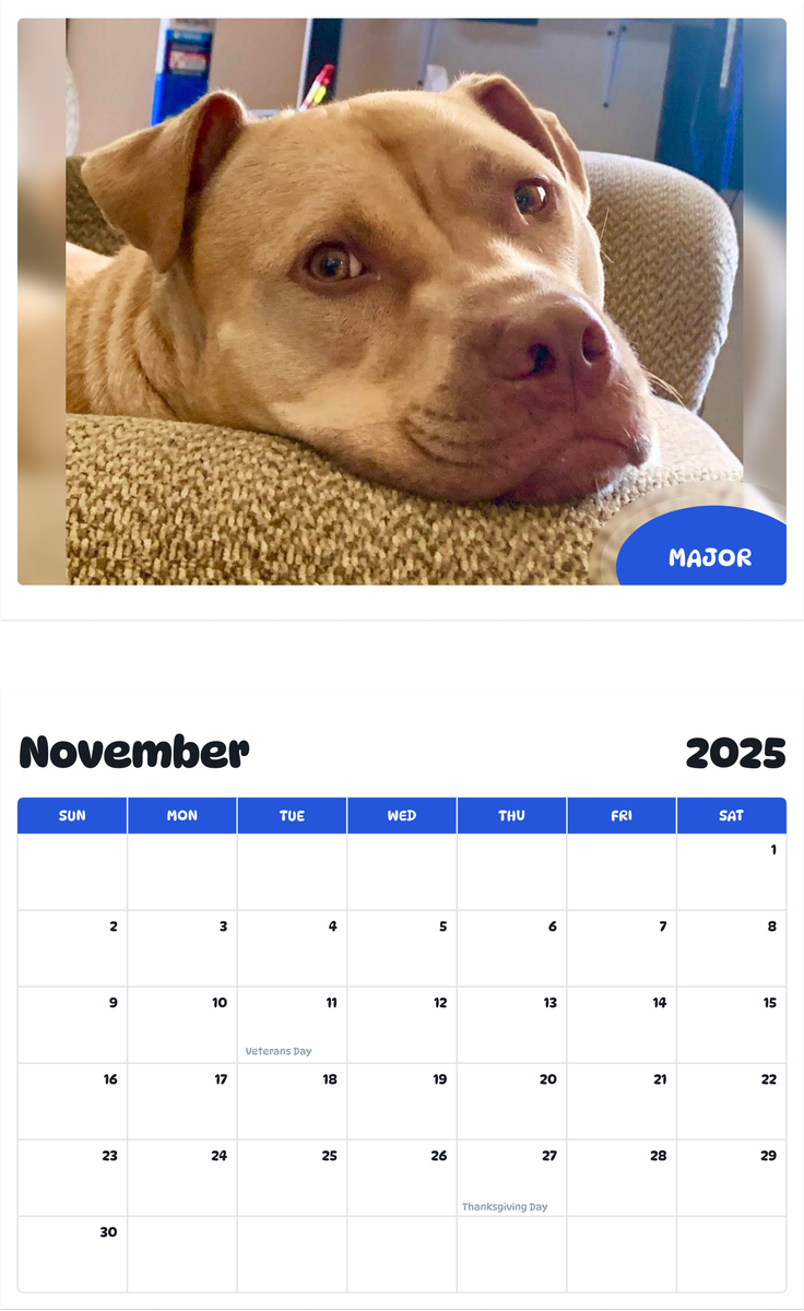 July 2025 - June 2026 Major - Pawidols Pet Calendar
