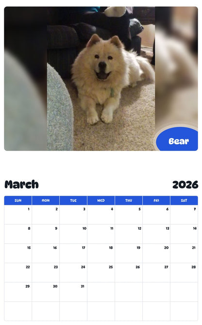 November 2025 - October 2026 Bear - Pawidols Pet Calendar