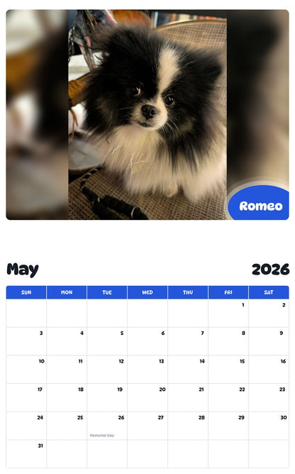 2026 - 2027 Romeo - Pawidols Pet Calendar