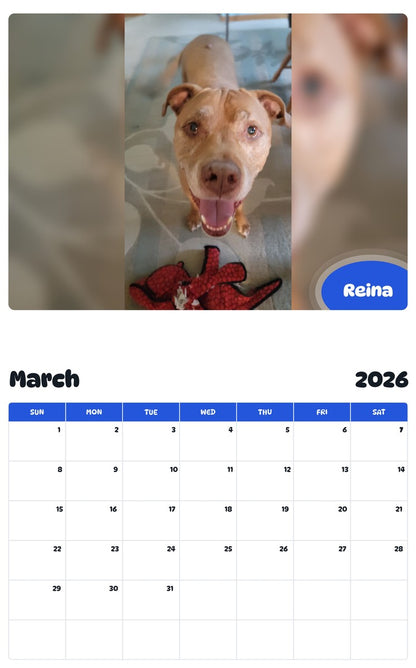November 2025 - October 2026 Reina - Pawidols Pet Calendar