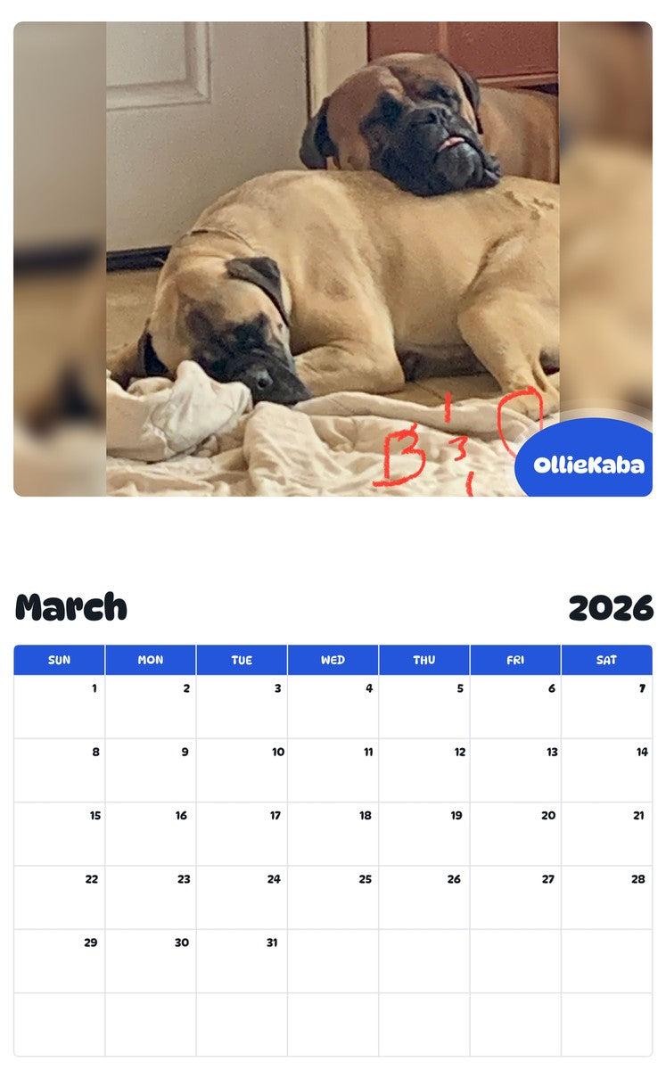 November 2025 - October 2026 OllieKaba - Pawidols Pet Calendar