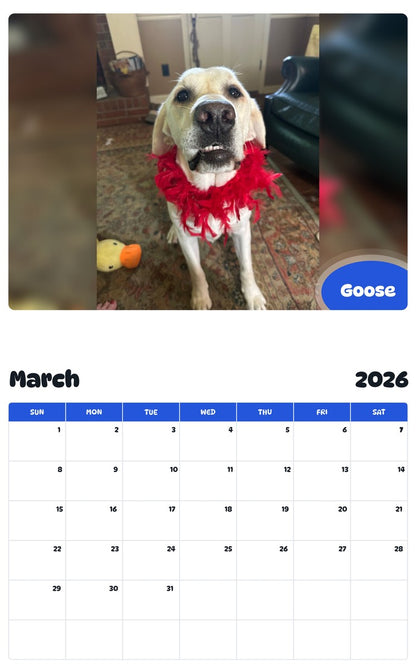 November 2025 - October 2026 Goose - Pawidols Pet Calendar
