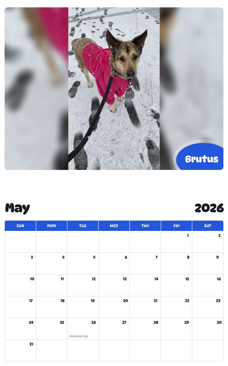 2026 - 2027 Brutus - Pawidols Pet Calendar