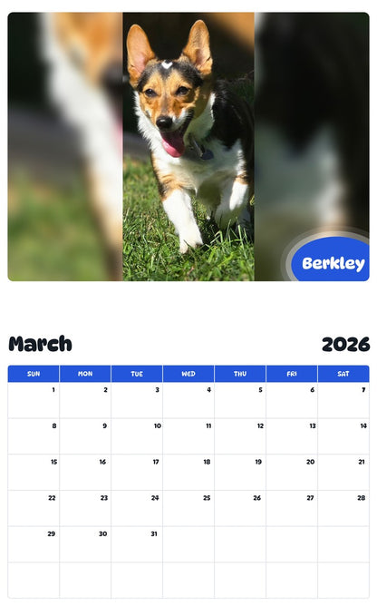 November 2025 - October 2026 Berkley - Pawidols Pet Calendar