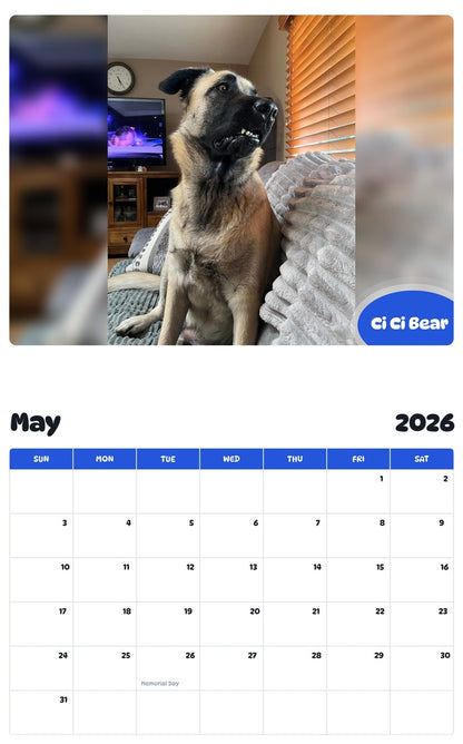 2026 - 2027 Ci Ci Bear - Pawidols Pet Calendar
