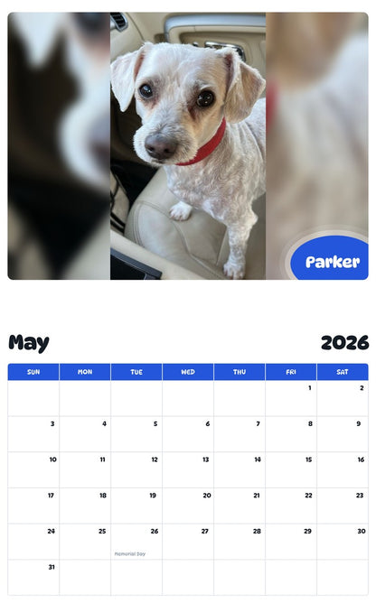 2026 - 2027 Parker - Pawidols Pet Calendar