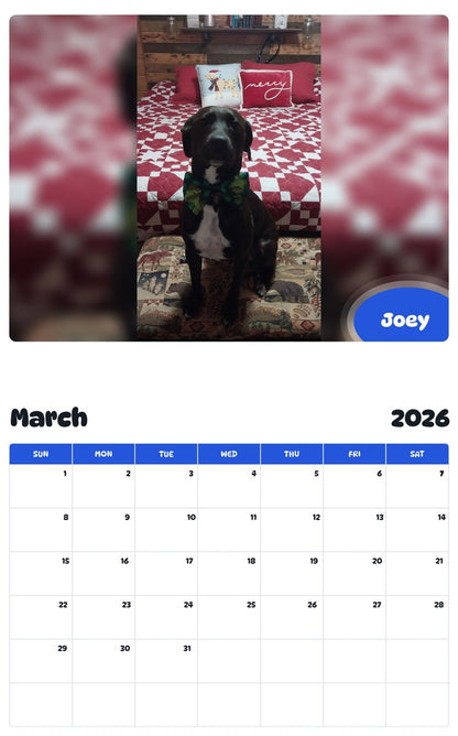 November 2025 - October 2026 Joey - Pawidols Pet Calendar