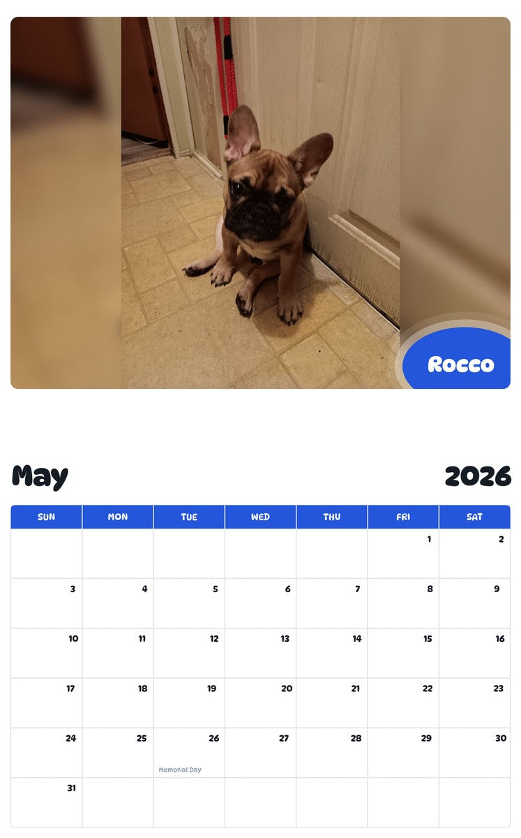 2026 - 2027 Rocco - Pawidols Pet Calendar