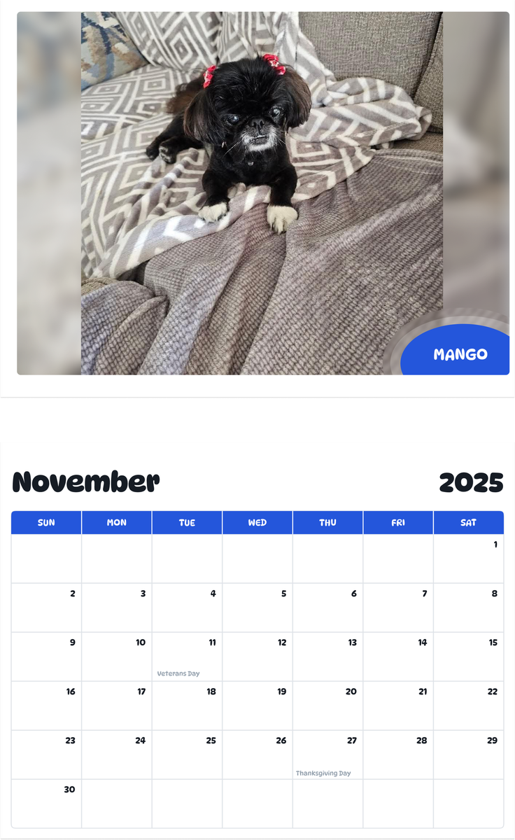 July 2025 - June 2026 Mango - Pawidols Pet Calendar