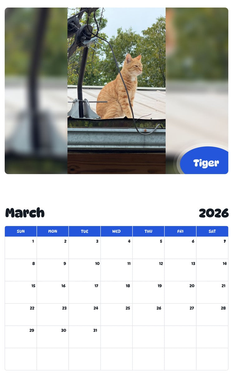 November 2025 - October 2026 Tiger - Pawidols Pet Calendar
