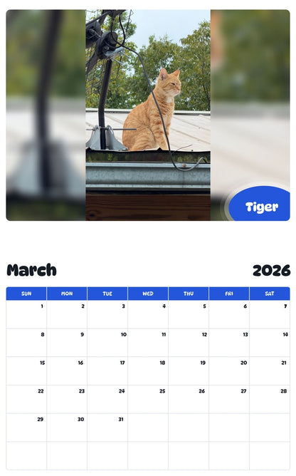 November 2025 - October 2026 Tiger - Pawidols Pet Calendar