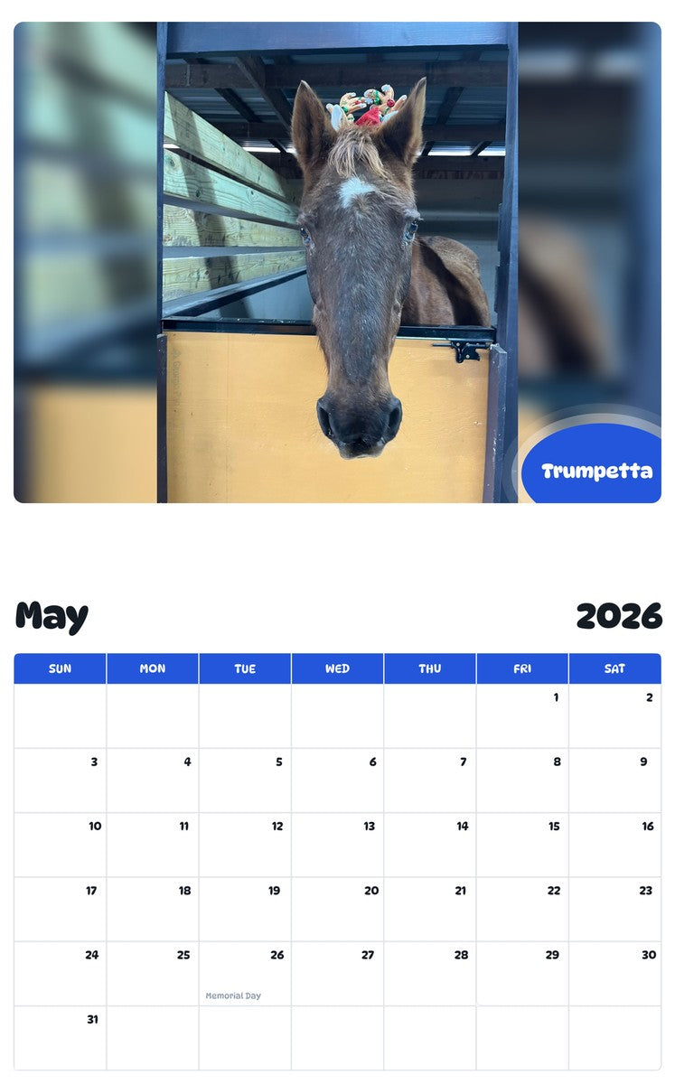 2026 - 2027 Trumpetta - Pawidols Pet Calendar