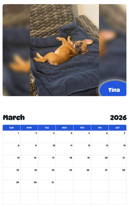 November 2025 - October 2026 Tina - Pawidols Pet Calendar