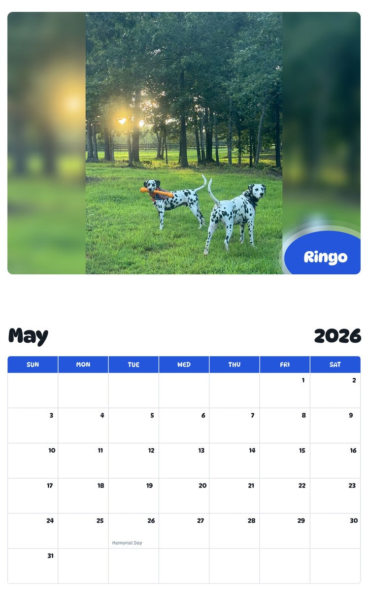 2026 - 2027 Ringo - Pawidols Pet Calendar
