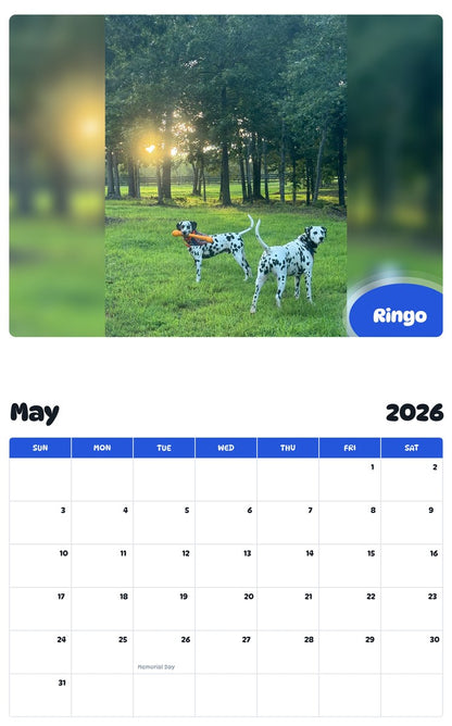 2026 - 2027 Ringo - Pawidols Pet Calendar