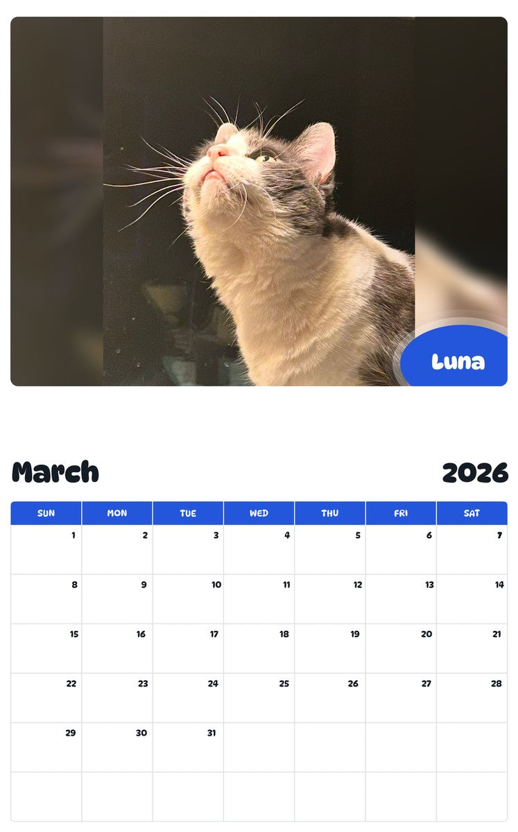 November 2025 - October 2026 Luna - Pawidols Pet Calendar