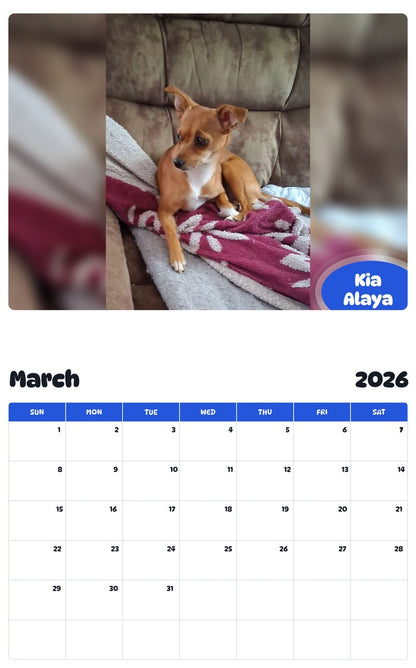 November 2025 - October 2026 Kia Alaya - Pawidols Pet Calendar