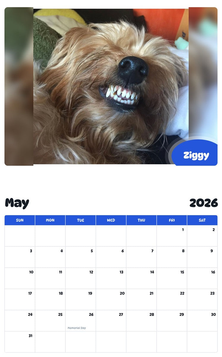 2026 - 2027 Ziggy - Pawidols Pet Calendar