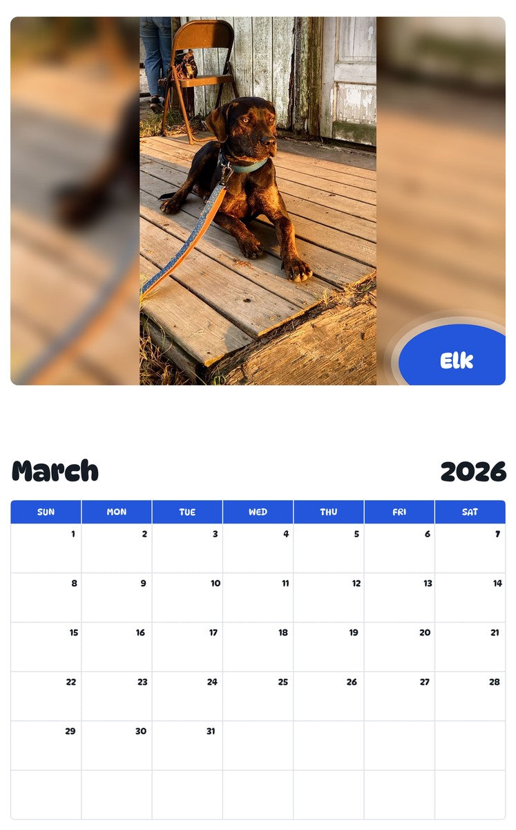 November 2025 - October 2026 Elk - Pawidols Pet Calendar