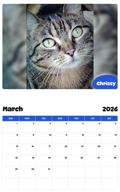November 2025 - October 2026 Chrissy - Pawidols Pet Calendar