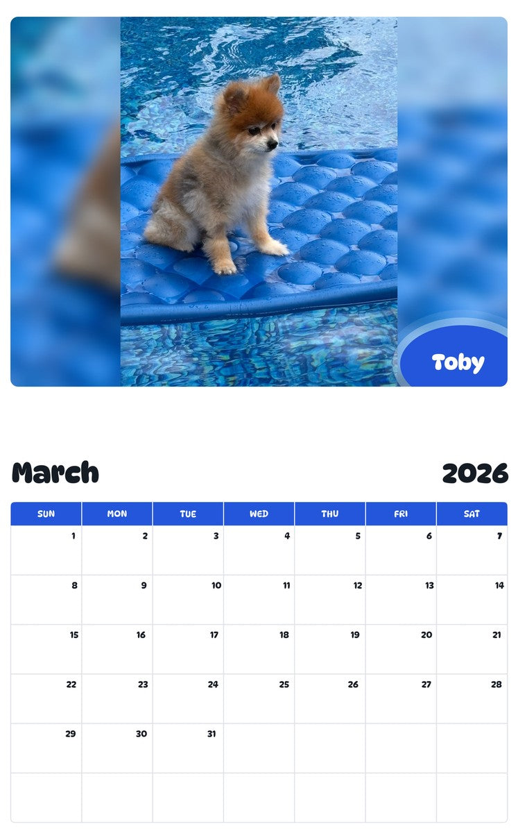 November 2025 - October 2026 Toby - Pawidols Pet Calendar