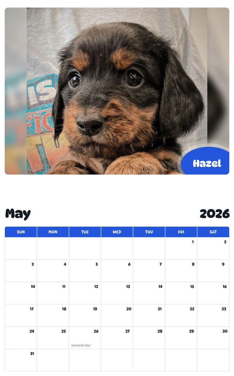 2026 - 2027 Hazel - Pawidols Pet Calendar
