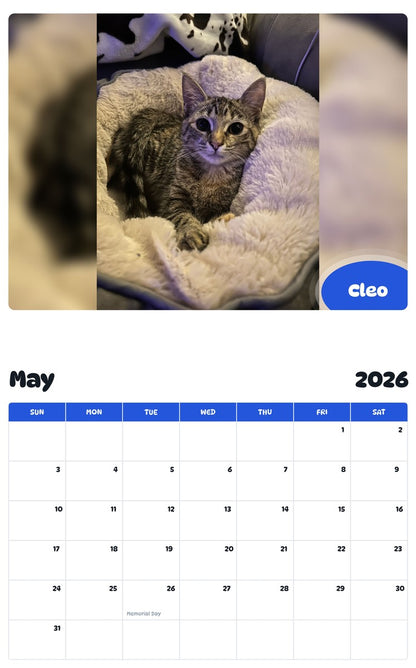 2026 - 2027 Cleo - Pawidols Pet Calendar
