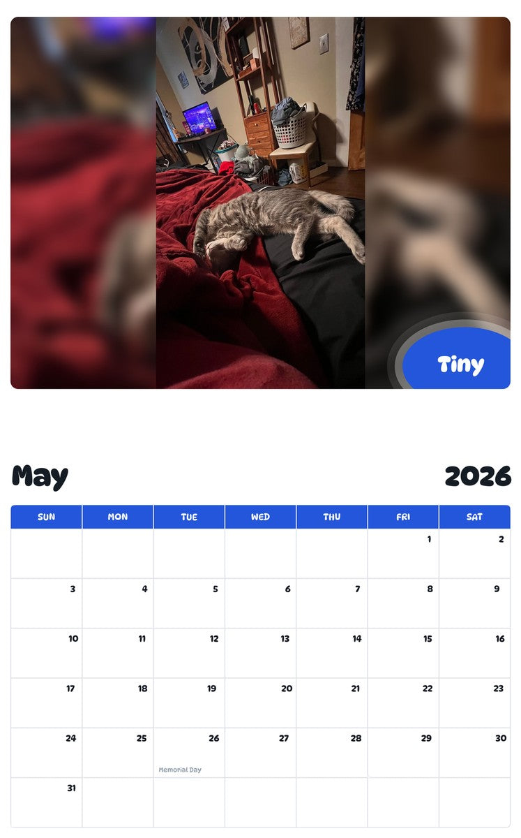 2026 - 2027 Tiny - Pawidols Pet Calendar