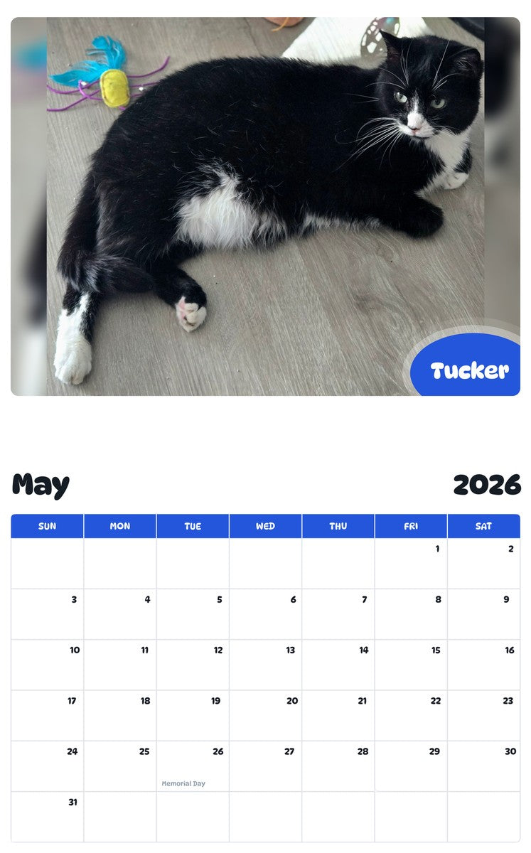 2026 - 2027 Tucker - Pawidols Pet Calendar