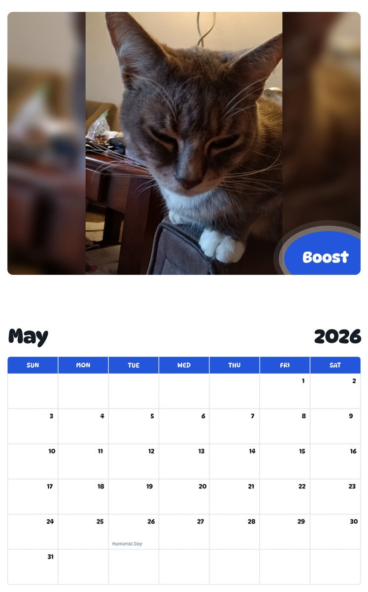 2026 - 2027 Boost - Pawidols Pet Calendar