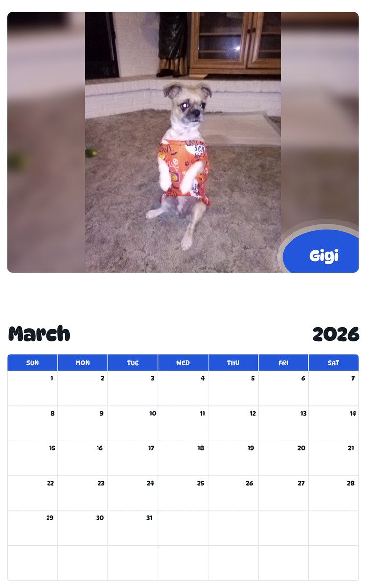 November 2025 - October 2026 Gigi - Pawidols Pet Calendar