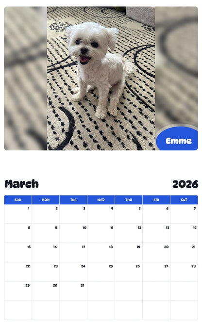 November 2025 - October 2026 Emme - Pawidols Pet Calendar