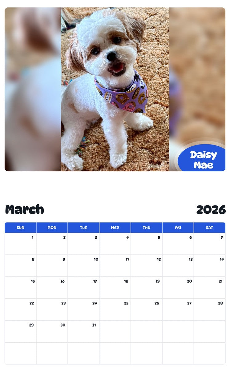 November 2025 - October 2026 Daisy Mae - Pawidols Pet Calendar