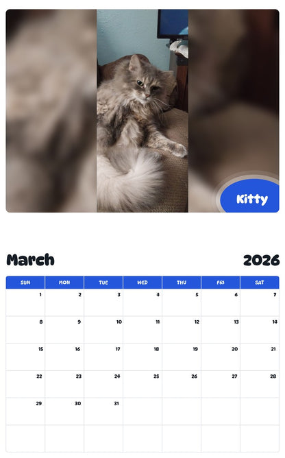 November 2025 - October 2026 Kitty - Pawidols Pet Calendar