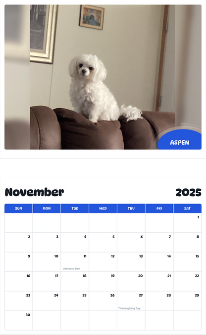 July 2025 - June 2026 Aspen - Pawidols Pet Calendar