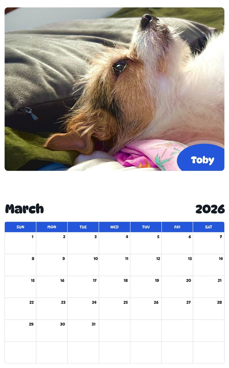 November 2025 - October 2026 Toby - Pawidols Pet Calendar
