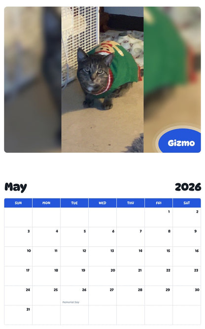 2026 - 2027 Gizmo - Pawidols Pet Calendar