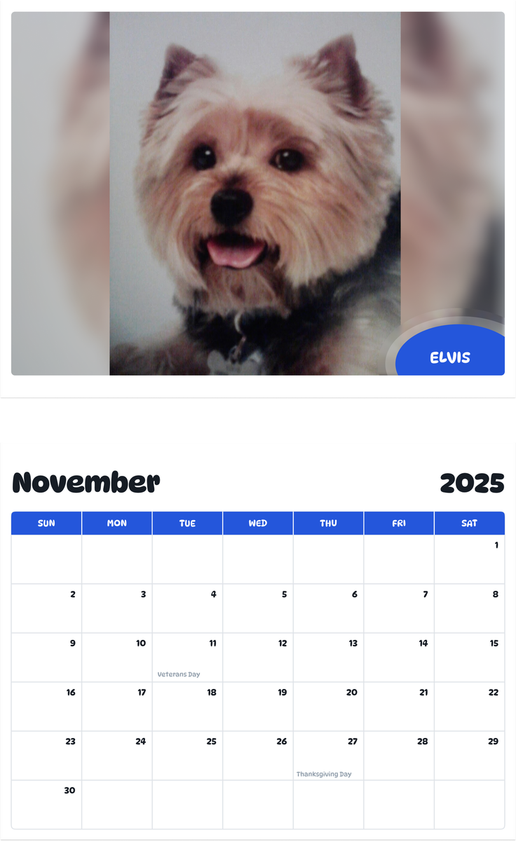July 2025 - June 2026 ELVIS - Pawidols Pet Calendar