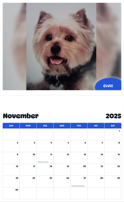 July 2025 - June 2026 ELVIS - Pawidols Pet Calendar