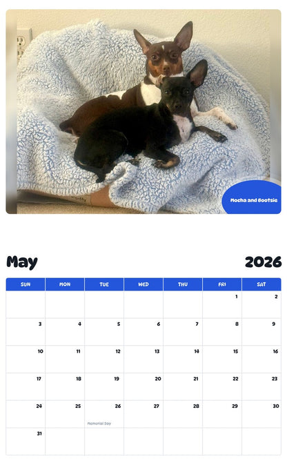 2026 - 2027 Mocha and Bootsie - Pawidols Pet Calendar