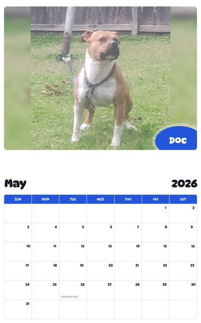 2026 - 2027 DOC - Pawidols Pet Calendar