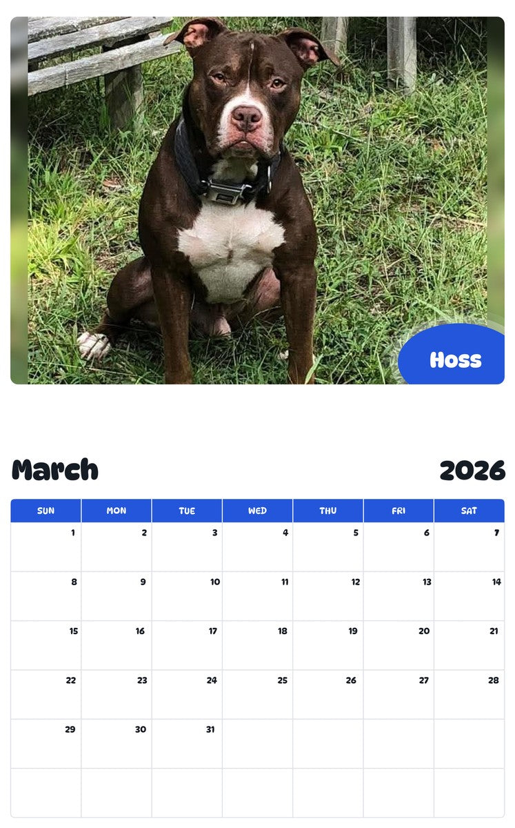 November 2025 - October 2026 Hoss - Pawidols Pet Calendar