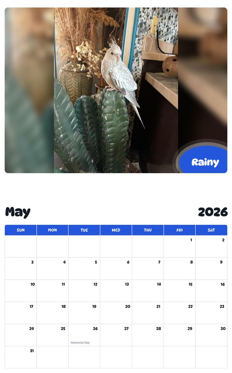 2026 - 2027 Rainy - Pawidols Pet Calendar