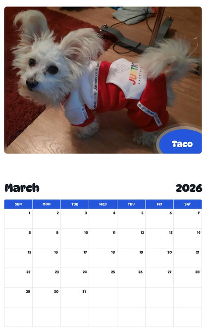 November 2025 - October 2026 Taco - Pawidols Pet Calendar