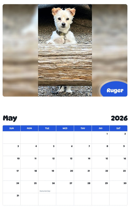 2026 - 2027 Ruger - Pawidols Pet Calendar