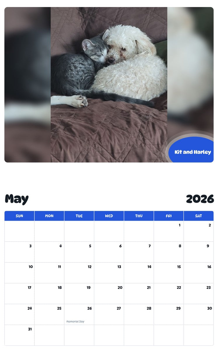2026 - 2027 Kit and Harley - Pawidols Pet Calendar