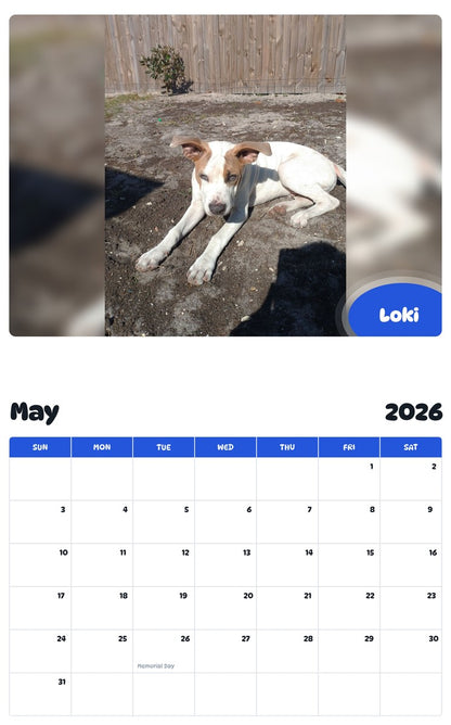 2026 - 2027 Loki - Pawidols Pet Calendar