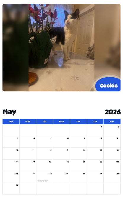 2026 - 2027 Cookie - Pawidols Pet Calendar
